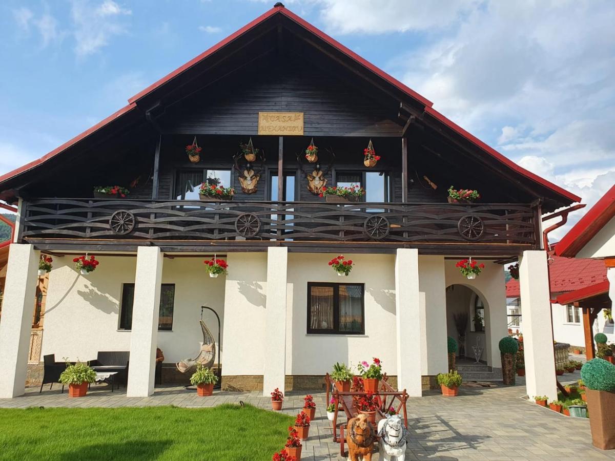 Casa Alexandru - Locul In Care Te Simti Acasa Hotel Viseu de Jos Exterior foto