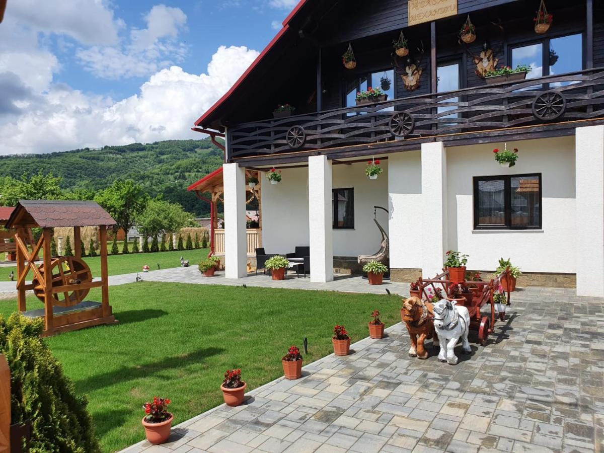 Casa Alexandru - Locul In Care Te Simti Acasa Hotel Viseu de Jos Exterior foto